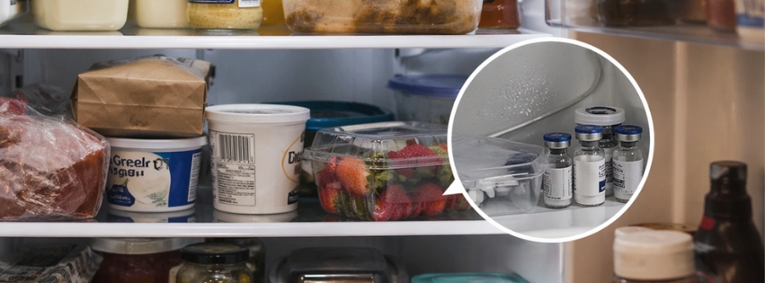 Crowded kitchen fridge shelves full of food